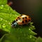 Delicate ladybug on green leafs edge, a vibrant miniature spectacle