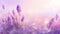 Delicate Lavender Colors Background, abstract illustration