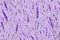 Delicate Lavender flower pattern background. Generative AI