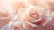 delicate light roses background