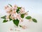 Delicate little bouquet of Jasmine flowers on a light blurred background