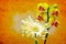 Delicate mini yellow phalaenopsis orchids and gerber daisy on soft grunge background