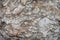 Delicate nature patterns of white , brown and gray marble texture for background