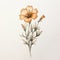 Delicate Orange Flower Illustration: Marigold Drawing In Minimalist Tattoo Style