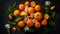 Delicate Oranges On A Dark Background