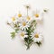 Delicate Paper Cutout Bouquet: A Realistic Rendering Of Daisies