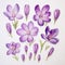 Delicate Paper Cutouts: Hand Painted Purple Saffron Flowers Collection