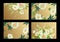 Delicate pastel white garden flowers. Floral card luxury pattern set