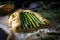 delicate pastry crust filled with asparagus, cheese and herbs