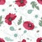 Delicate pattern of poppies drawing