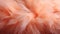 Delicate Peach Feathers Texture Softness Elegance 2024 Trend. GenerativeAI