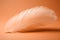 A delicate peach fuzz color feather lying on minimal background