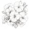 Delicate Petunia Line Art Of Wild Flowers In Top-down Perspective
