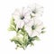 Delicate Petunia Watercolor Painting With White Charm Flowers