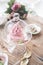 Delicate pink apple marshmallow hand-made in a glass transparent vase. Congratulate. Sign of attention. Marshmallow, dessert.