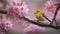 Delicate Pink Blossom on Tree Branch with Perching Bird. Generative AI