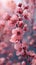 Delicate pink blossoms highlight nature\\\'s spring beauty.