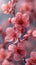 Delicate pink blossoms highlight nature\\\'s spring beauty.