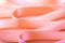 Delicate pink ribbon waves as a festive background