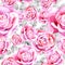 Delicate pink rose. Floral botanical flower.Seamless background pattern.