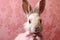 Delicate Rabbit pink eye mammal. Generate Ai