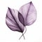 Delicate Realism: Intricate Illustration Of Violet Leaf On White Background