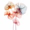 Delicate And Realistic 3d Nasturtium X-ray Illustration