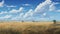 Delicate Renderings Of Australian Landscape: Capturing The Beauty Of Plains