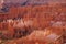 Delicate sandstone pinnacles