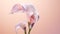 Delicate Sculpture Of Calla Lily On Holographic Gradient Background