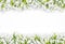 Delicate snow drops arranged as rows on white background first of march celebration concept