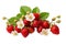 Delicate Strawberry Fruit Adorned with Flowers and Leaves Isolated on transparent background, Generative Ai