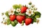 Delicate Strawberry Fruit Adorned with Flowers and Leaves Isolated on transparent background, Generative Ai