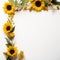 Delicate Sunflower Border Timeless Beauty