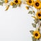Delicate Sunflower Border Timeless Beauty