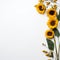 Delicate Sunflower Frame Gentle Elegance