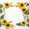 Delicate Sunflower Frame Gentle Elegance