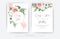Delicate vector art wedding invite and save the date card set with editable floral decoration. Watercolor blush pink rose flowers