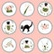 Delicate vector highlight witchcraft doodle icons set. Hand drawn magic line witchy esoteric objects