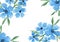 Delicate watercolor blue flowers horizontal frame