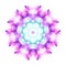 Delicate watercolor flower mandala pattern in pink, violet and turquoise tones isolated on white background.