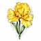 Delicate Watercolor Illustration Of Yellow Carnation Flower