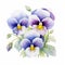 Delicate Watercolor Pansy Floral Illustration With Elegant Symmetrical Arrangement