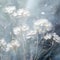 Delicate Whispers: A Close-up of a Feather-Like Baby's Breath