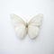 Delicate White Butterfly Art Minimalist Installation With Bold Chromaticity