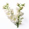 Delicate White Flowers Forming The Word Love - Unique Floral Art