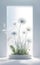 Delicate white flowers on a white background, banner for advertising, background for smartphone,