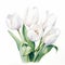 Delicate White Tulip Watercolor Painting On A White Background