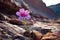 a delicate wildflower growing in a rugged landscape