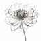 Delicately Detailed Black And White Flower: 3d X-ray Illustration